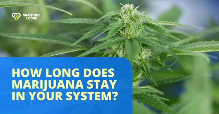 How Long Does a Cannabis High Last?
