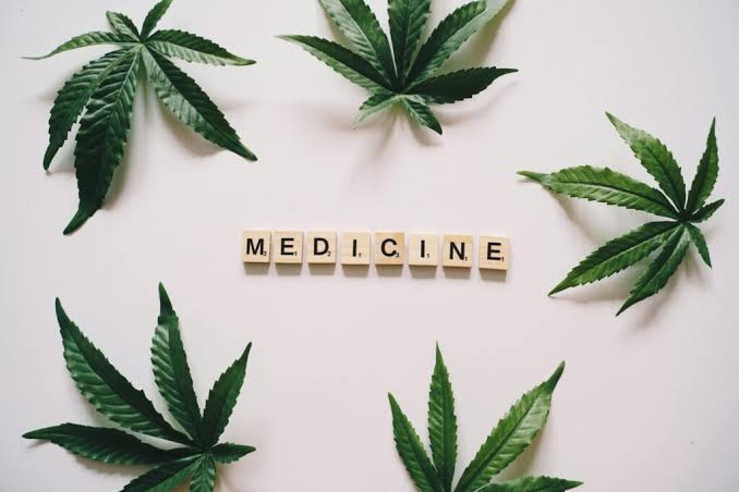 The Benefits of Cannabis as Part of a Preventative Wellness Routine