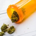 Find Your Ideal Cannabis Dose